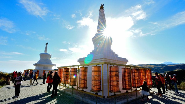 拼多多补单软件