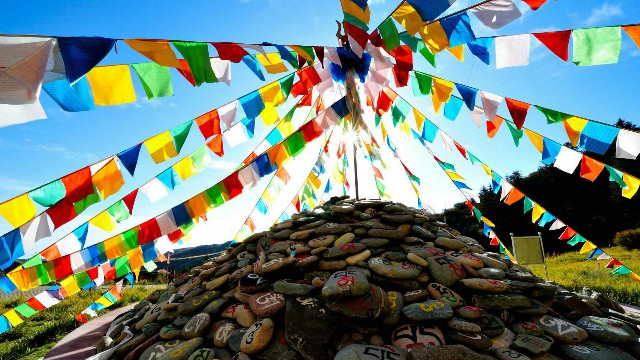 拼多多补单软件