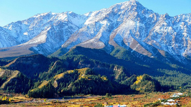 拼多多补单软件