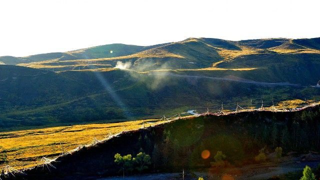 拼多多补单软件