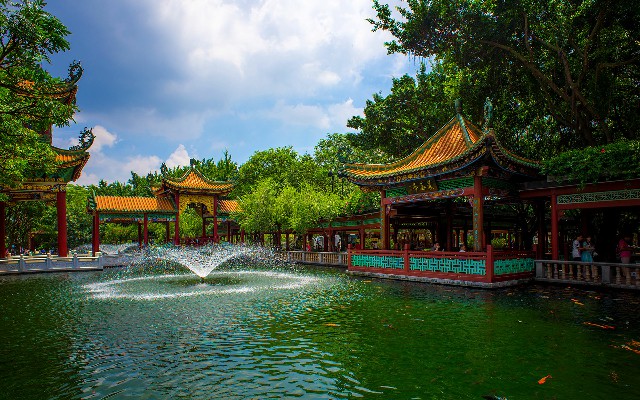 拼多多补单软件