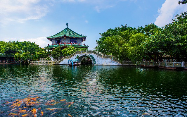 拼多多补单软件