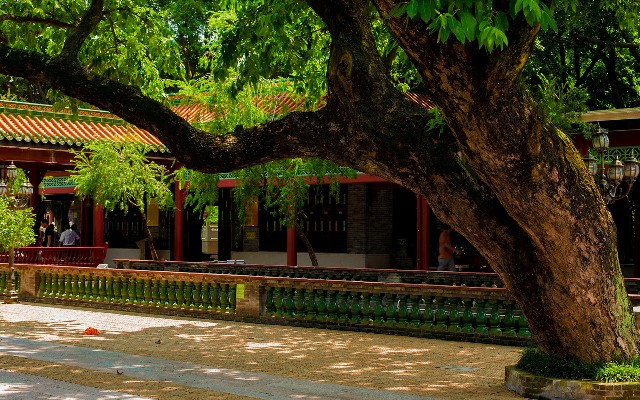 拼多多补单软件