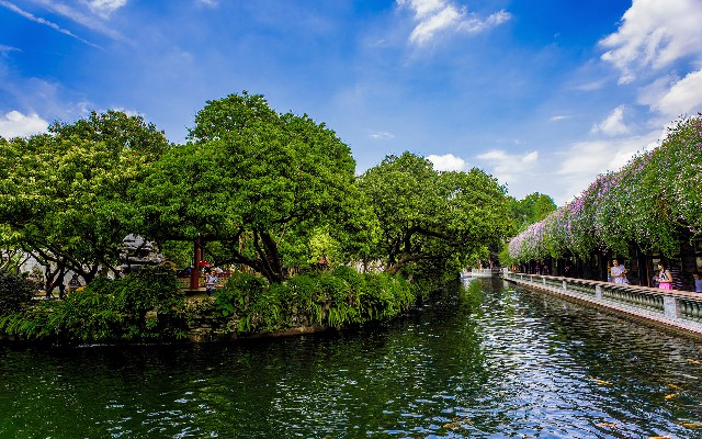 拼多多补单软件