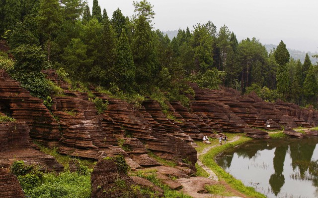 拼多多补单软件