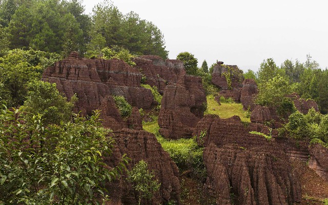 拼多多补单软件