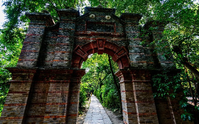 拼多多补单软件