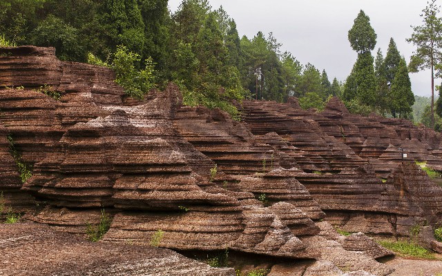 拼多多补单软件