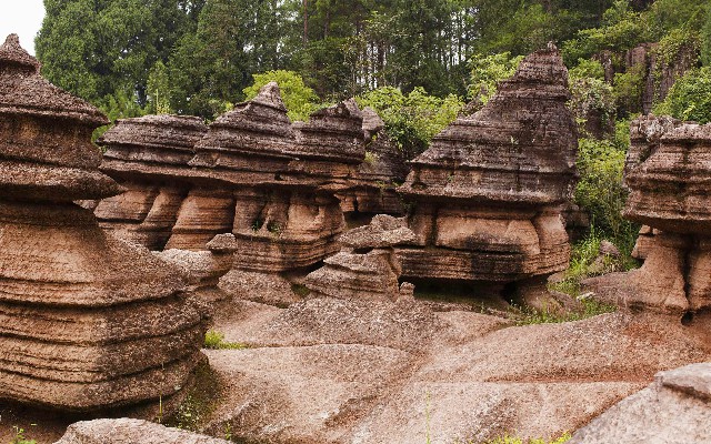 拼多多补单软件