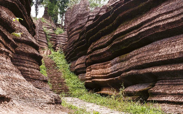 拼多多补单软件