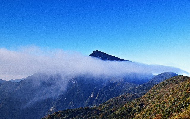 拼多多补单软件