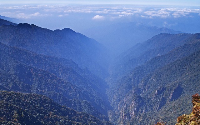 拼多多补单软件