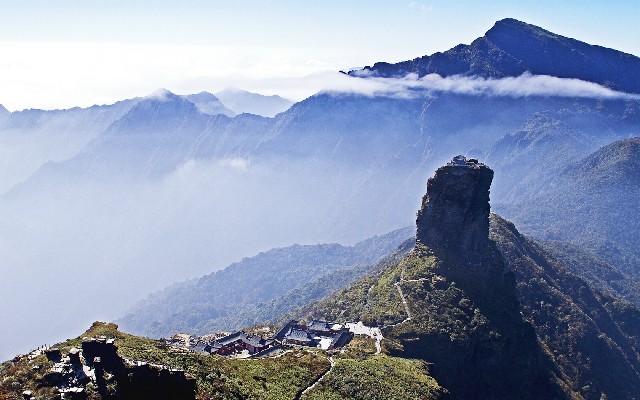 拼多多补单软件