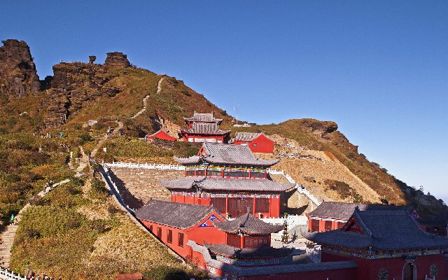 拼多多补单软件