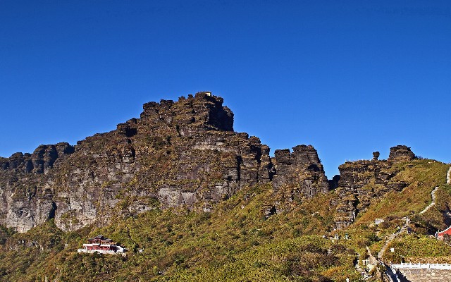 拼多多补单软件