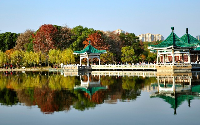 拼多多补单软件