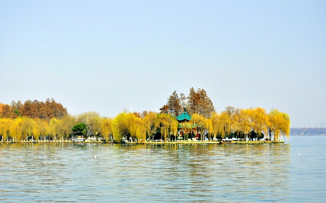 拼多多补单软件