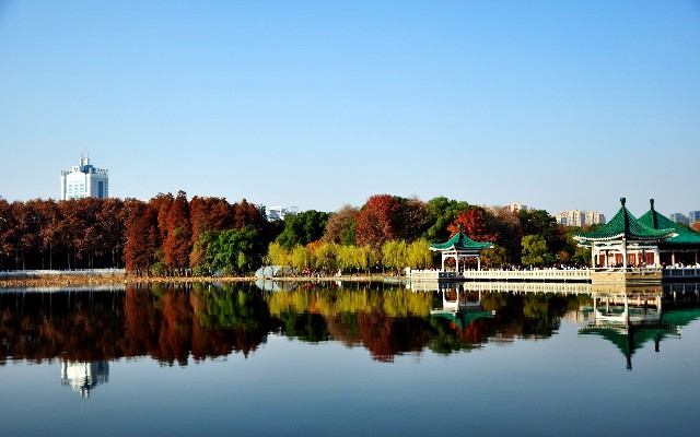 拼多多补单软件