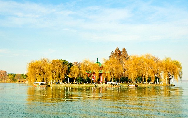 拼多多补单软件