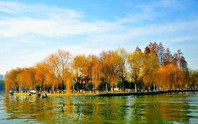 拼多多补单软件