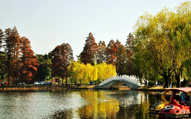 拼多多补单软件