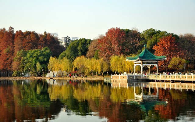 拼多多补单软件