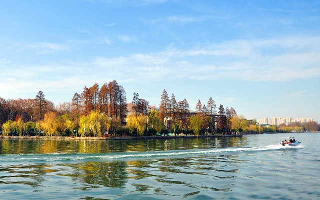 拼多多补单软件