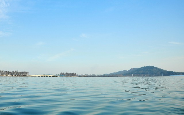 拼多多补单软件