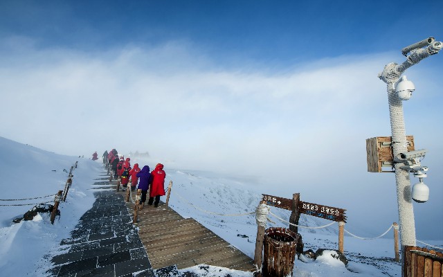 拼多多补单软件