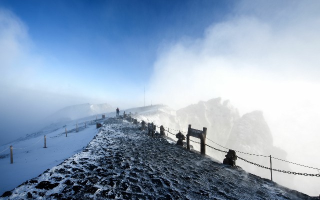 拼多多补单软件