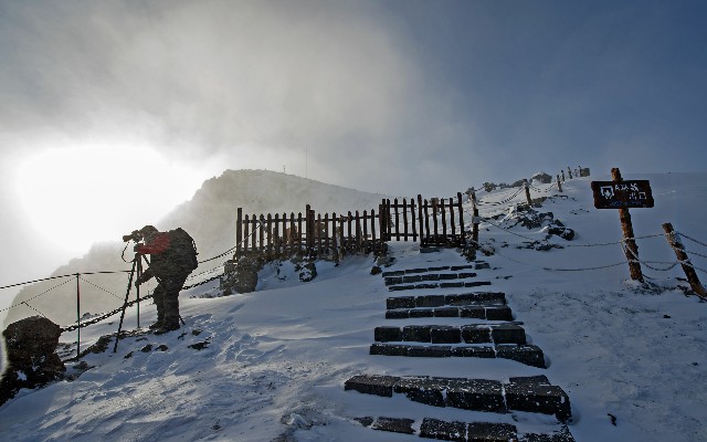 拼多多补单软件