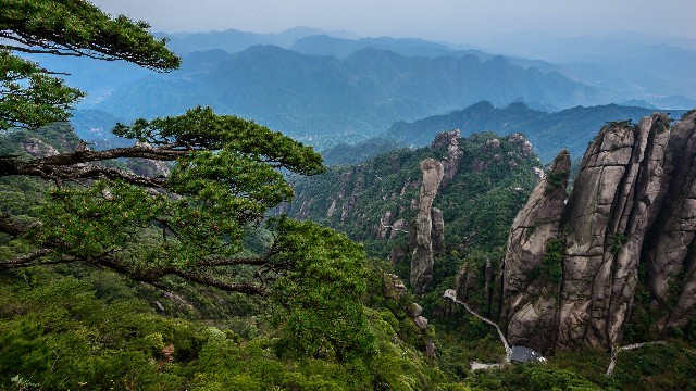 拼多多补单软件