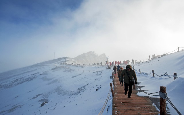 拼多多补单软件