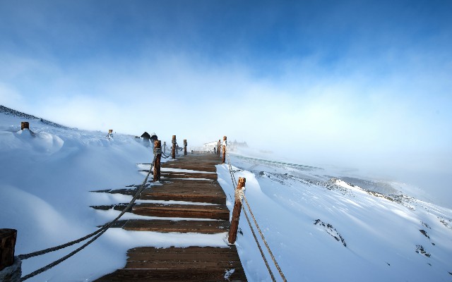 拼多多补单软件