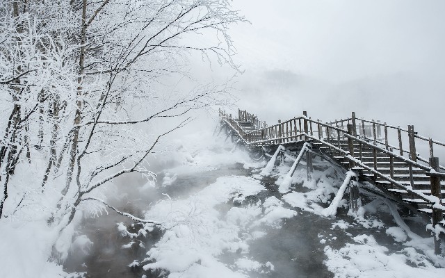 拼多多补单软件