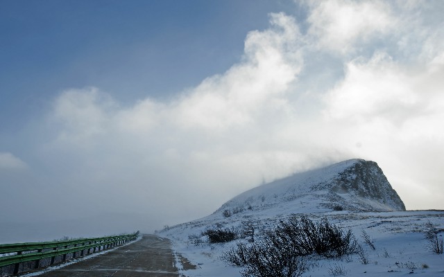 拼多多补单软件