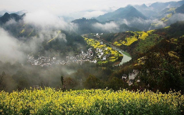 拼多多补单软件