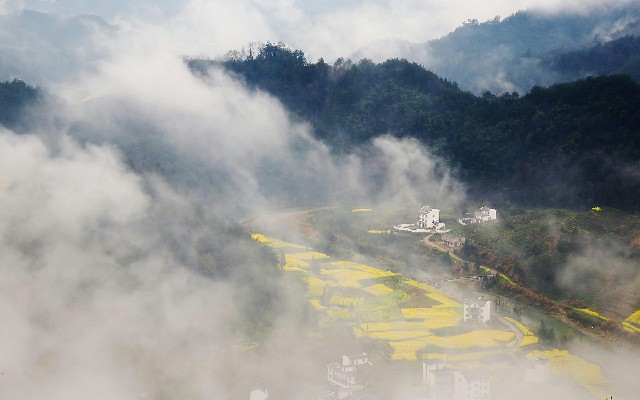拼多多补单软件