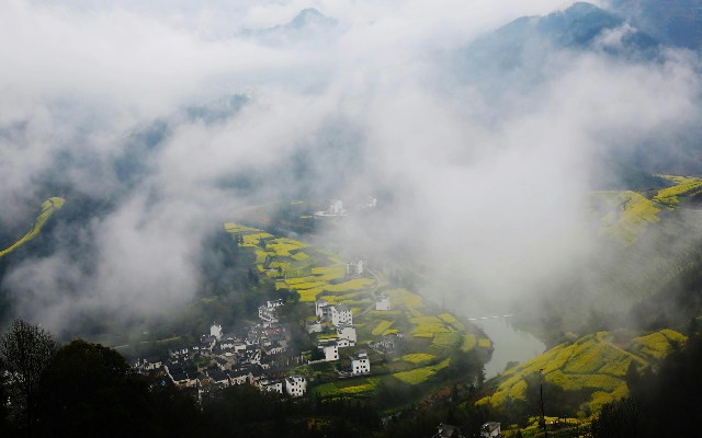 拼多多补单软件