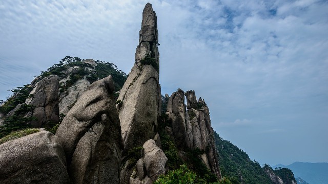 拼多多补单软件