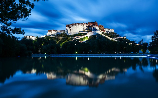 拼多多补单软件