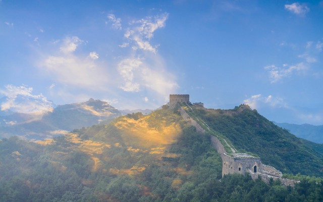 拼多多补单软件