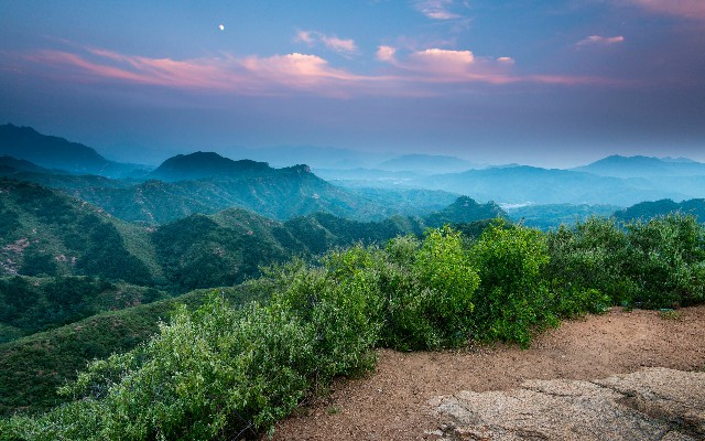 拼多多补单软件