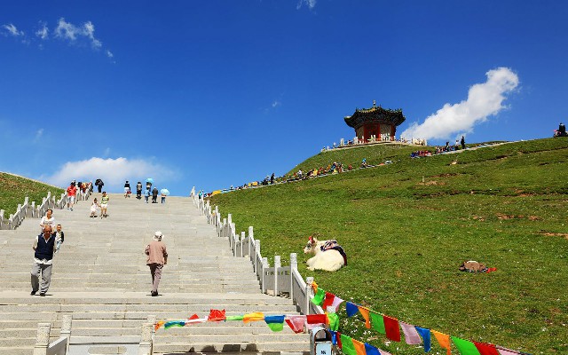 拼多多补单软件