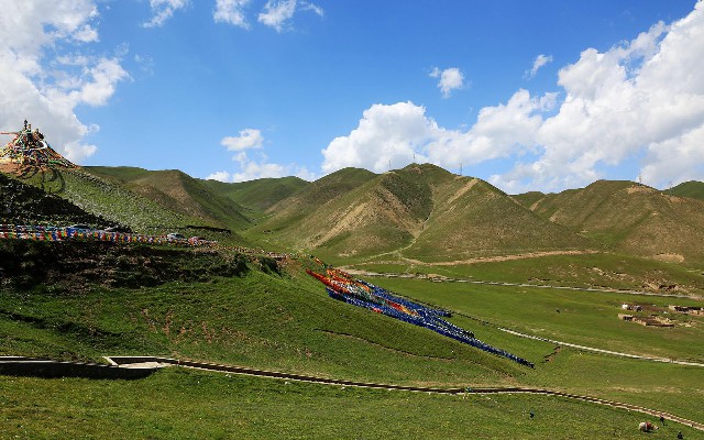 拼多多补单软件