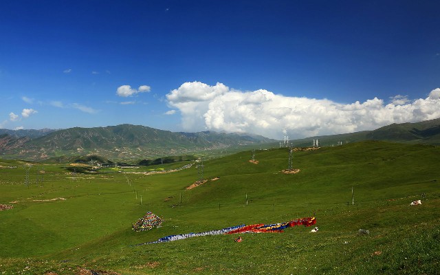 拼多多补单软件