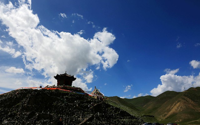 拼多多补单软件