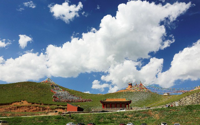 拼多多补单软件