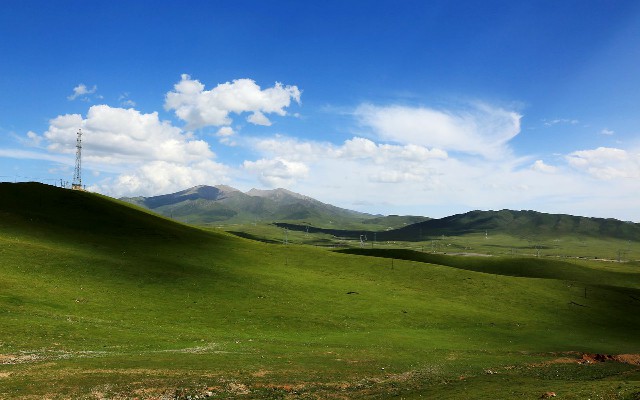 拼多多补单软件