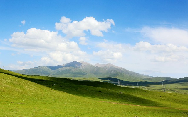 拼多多补单软件